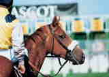 Ascot, ����������� ������